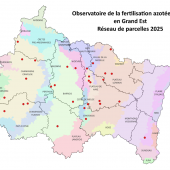 L’observatoire de la fertilisation azotée en Grand Est compte 36 parcelles de blé réparties sur la Champagne-Ardenne, la Lorraine et l’Alsace.