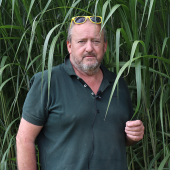 Dominique Sautré cultive du miscanthus depuis 5ans. ©Mélanie BECKER