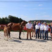 C’est dans une ambiance conviviale que des membres de l’association Cheval Grand Est se sont retrouvés à l’occasion du concours foals du 18 juillet Photo : Marion Falibois