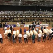 Foires agricoles sans présence d’animaux en concours, parfois annulation pure et simple des manifestations, de nombreux exemples d’échecs étaient à l’esprit de tous durant les semaines de préparation du salon Agrimax à Metz. © Photo Pierre Divoux