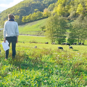 Visite d’une parcelle de fauche restaurée, à Wasserbourg, avec l’entreprise Nungesser qui a fourni les semences labellisées Végétal local. Photo : PNR des Ballons des Vosges