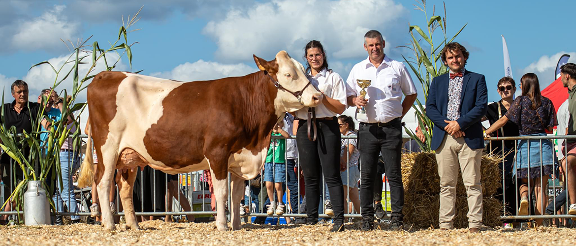 RIPOSTE du GAEC DE L’ETOILE à REMICOURT sacrée GRANDE CHAMPIONNE MONTBELIARDE ©Manon Laurain 