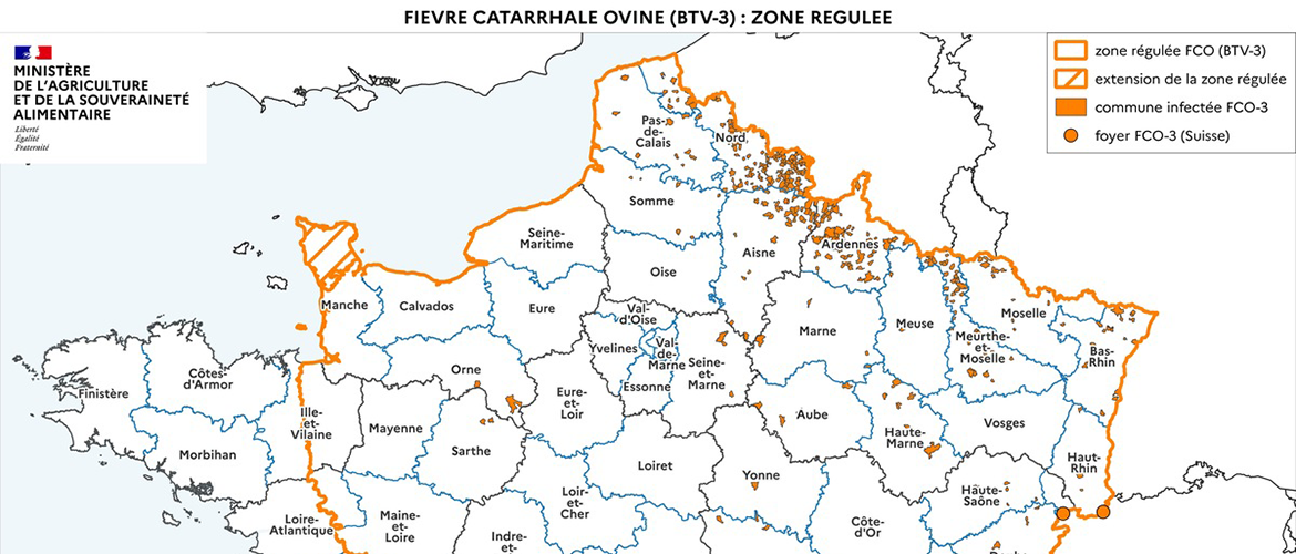 Zone régulée FCO actualisée par le ministère de l'Agriculture en date du jeudi 5 septembre