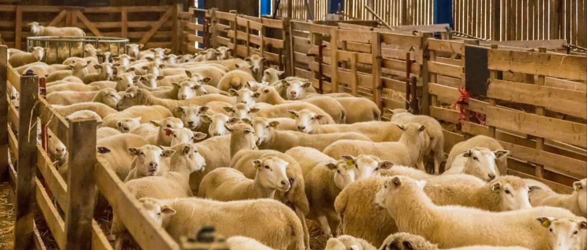 Le double objectif de la durabilité et de la compétitivité. Photo DR