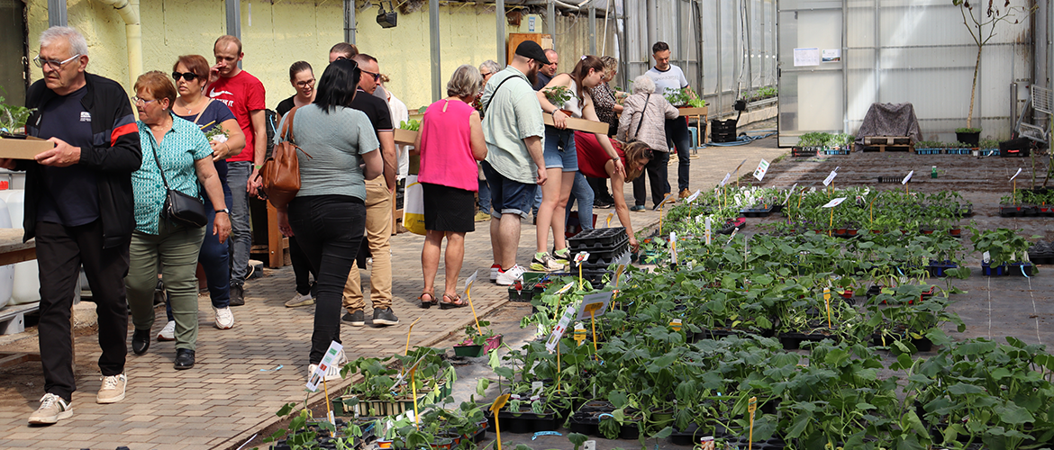 Dans les serres, les amateurs de jardinage faisaient le plein de bonnes affaires. Photo Marion Falibois