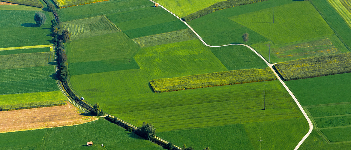 Paysage rural. Photo libre de droit