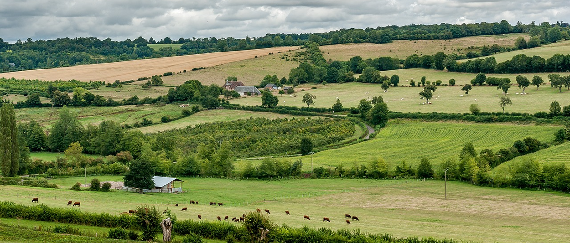 appel à projets « Investissement productifs dans la filière graines et plants ». Photo DR