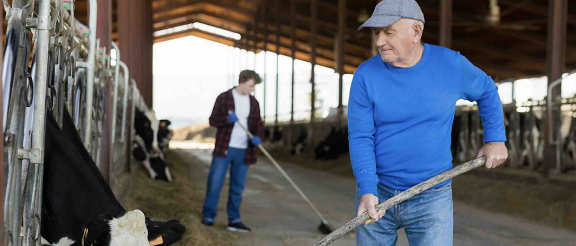 En 2022, la loi Chassaigne 2 a permis de revaloriser le minimum de pension des conjoints à carrière complète de 555 € à 750 € par mois. 210 000 retraités ont été concernés. © Photo DR