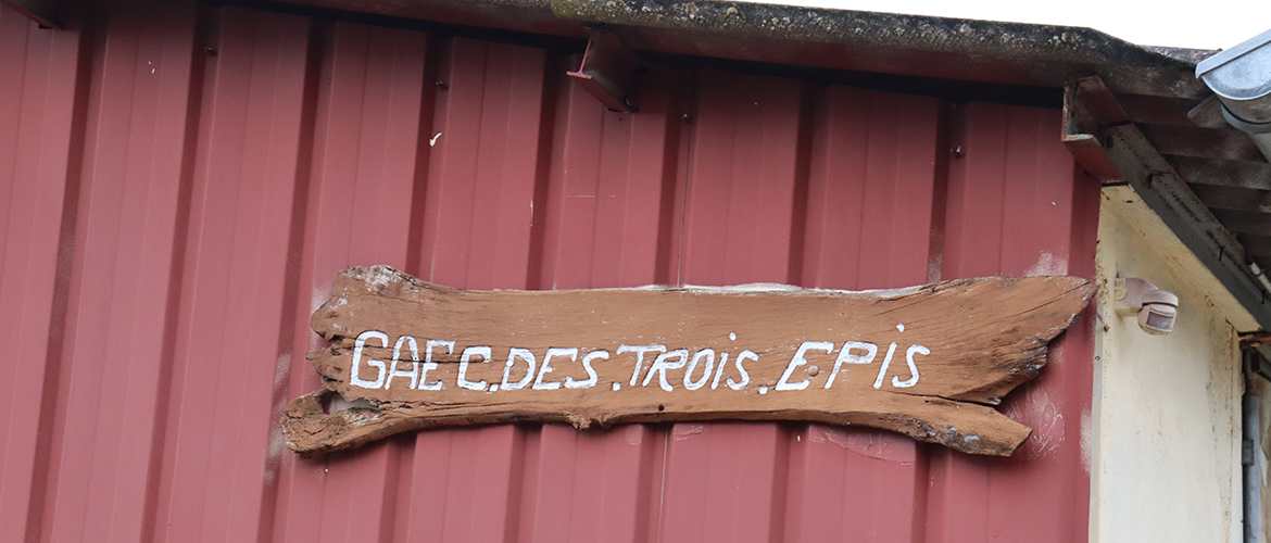 Le GAEC des Trois Epis accueillera la visite d’exploitation qui suivra l’AG de l’association Top Génétique Vosges. © Photo Marion Falibois