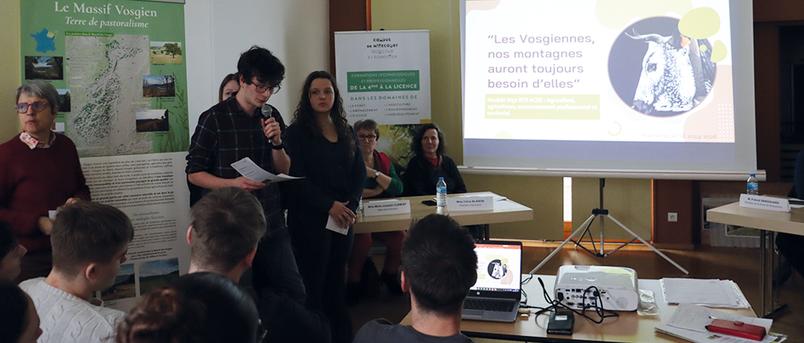 Les BTS ACSE ont présenté le travail qu’ils ont mené autour de la race bovine Vosgienne. © Photo Marion FALIBOIS
