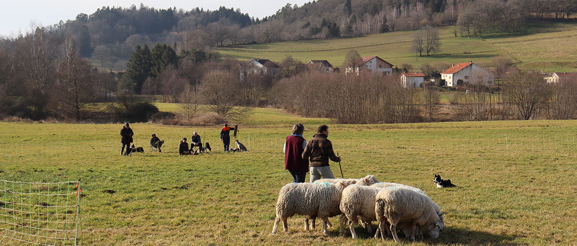 Chacun leur tour les binômes passent sous le regard des formateurs et autres binômes. © Photo Mélanie Becker