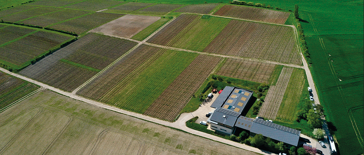 Le renforcement de la compétitivité des exploitations, la performance économique, environnementale et sociale des fermes, en filières végétales. © Photo STADLER/RGE Le renforcement de la compétitivité des exploitations, la performance économique, environnementale et sociale des fermes, en filières végétales. © Photo STADLER/RGE