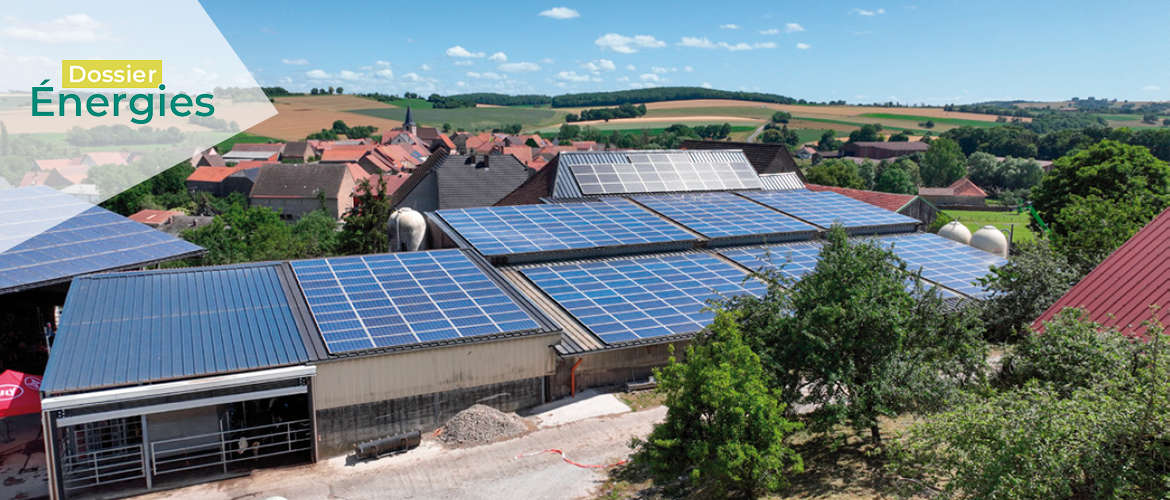 Avec leurs vastes toitures, les agriculteurs disposent d’un atout pour produire de l’énergie renouvelable à grande échelle. © Photo Ilona Bonjean