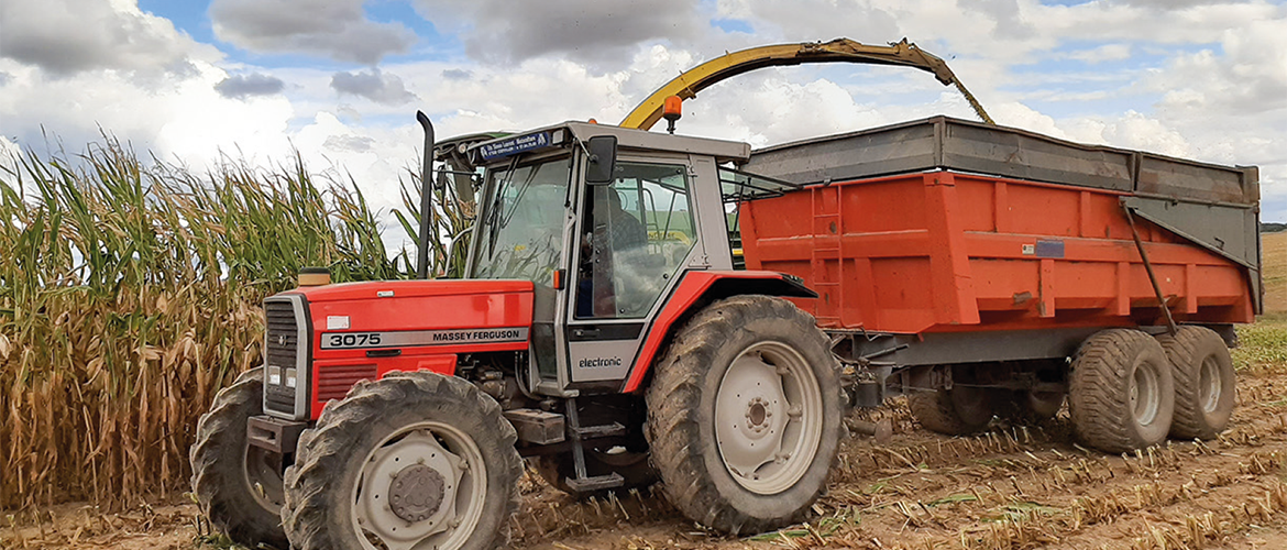 Le fait pour un agriculteur d’exploiter une parcelle dépendant du territoire de la commune suffit à le rendre prioritaire. © Photo N. M.
