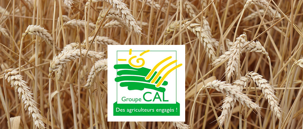 © Photo d'archives PV