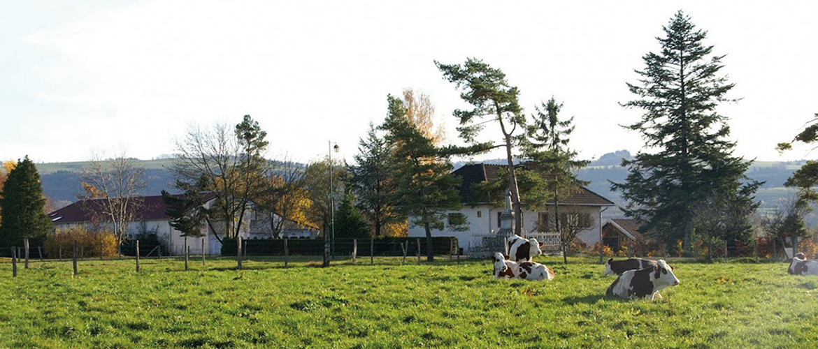Pour limiter le gaspillage de l'herbe, le pâturage tournant est un levier efficace. © Photo DR
