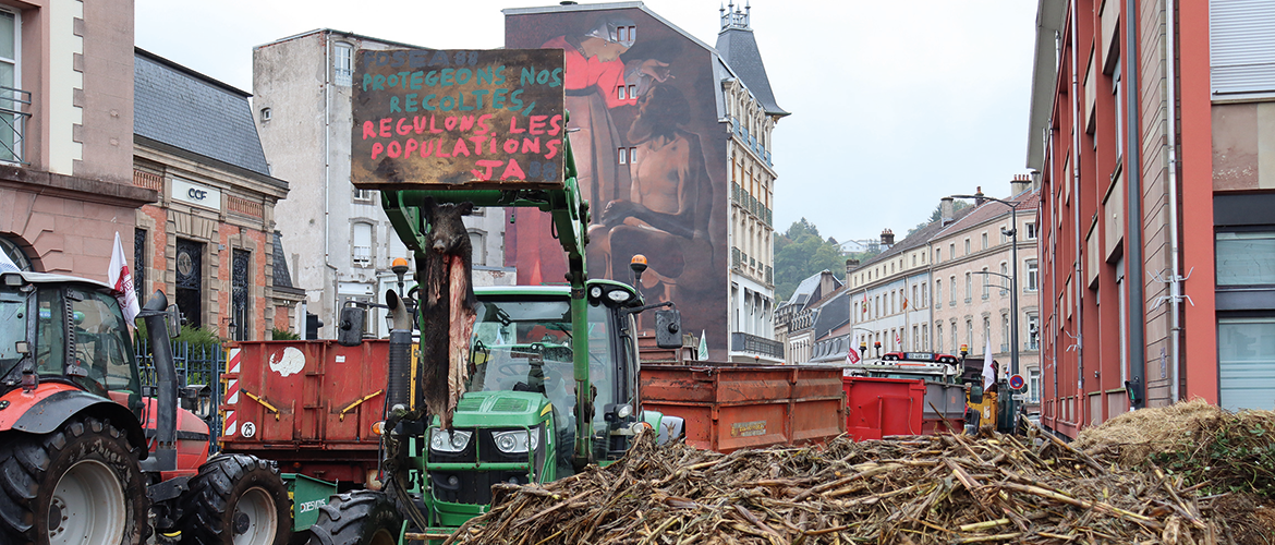 Mercosur, dégâts de gibiers, la colère des agriculteurs s’est illustrée aux pieds de la fédération départementale de chasse, de la DDT et de la Préfecture des Vosges. © Photo Marion FALIBOIS