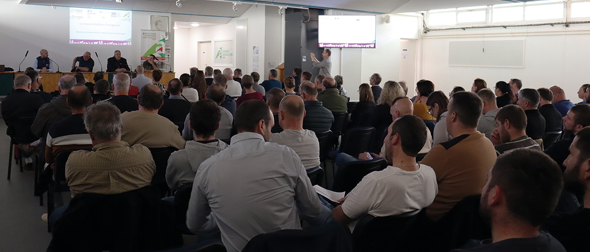 Plusieurs centaines d’éleveurs des Vosges ont assisté aux réunions d’information sur la DNC. © Photo Marion FALIBOIS