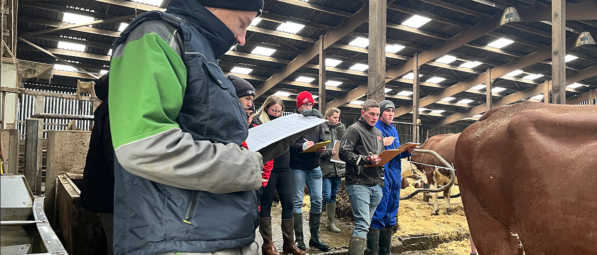 Les jeunes évaluent les bovins suivant différents critères. © Photo archives JA 88
