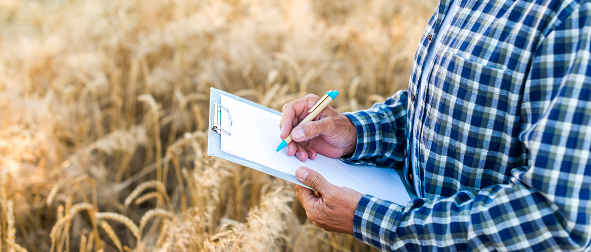 © Photo sous licence CC