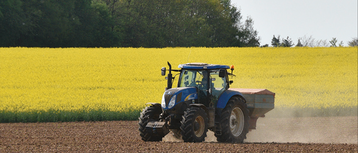 Fertilisation azotée du tournesol : ajuster les apports aux besoins réels pour concilier rendement et qualité. © Photo Terres Inovia