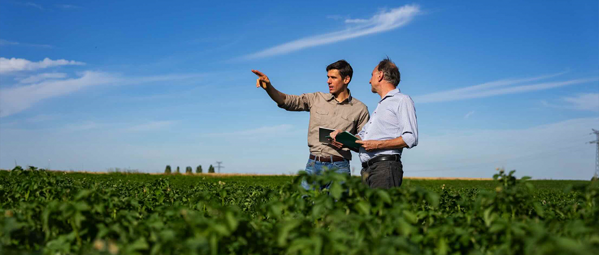 Agriculteurs en discussion sur les parcelles exploitées. © Photo DR iStock