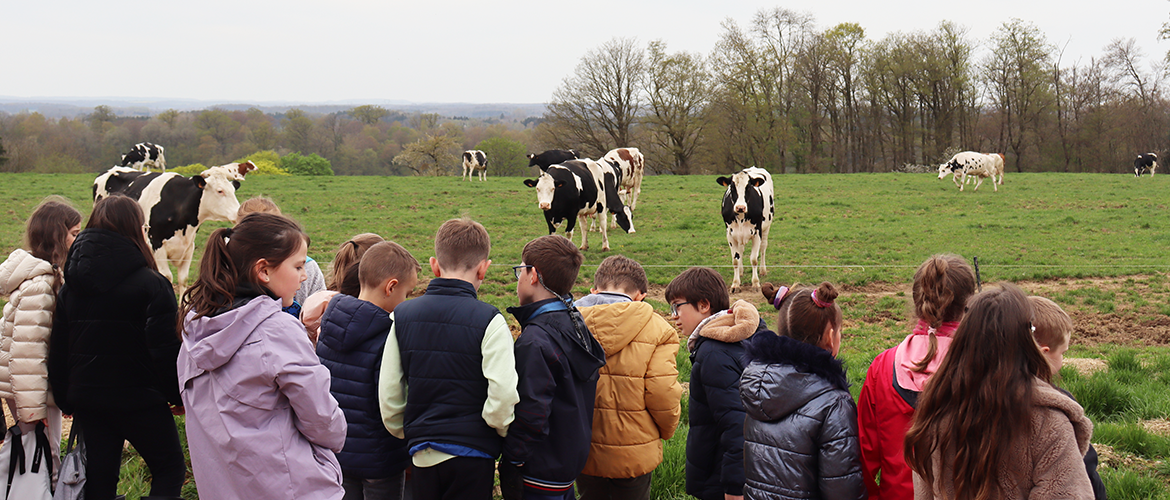 Les Rencontres à la ferme, co-organisées par la Fdsea et les Ja 88 visent à susciter des vocations. © Photo Marion FALIBOIS