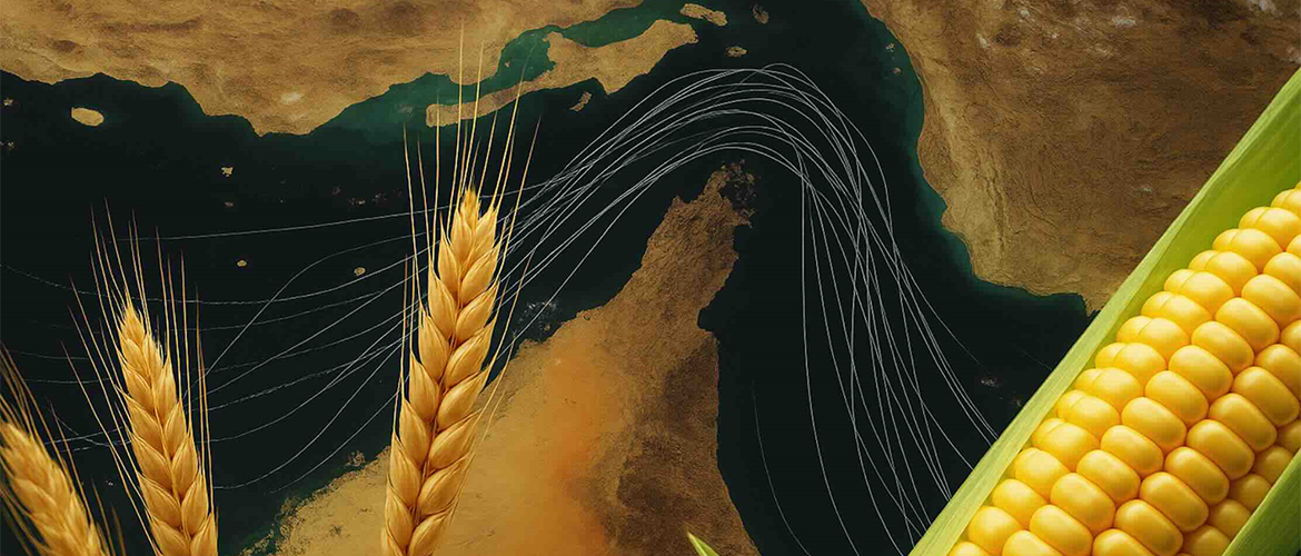 Passages des céréales par le détroit d'Ormuz. © Illustration DR iStock