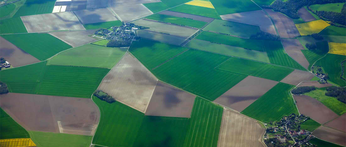 Vue aérienne de champs. © Photo DR iStock