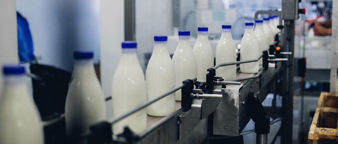 Mise en bouteille du lait. © DR iStock
