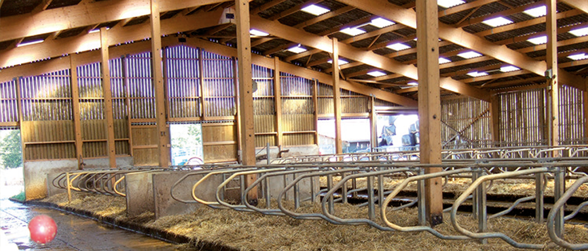 L’arrêt du lait : de lourdes conséquences sur le plan économique. © Photo Inosys Réseaux d'élevage