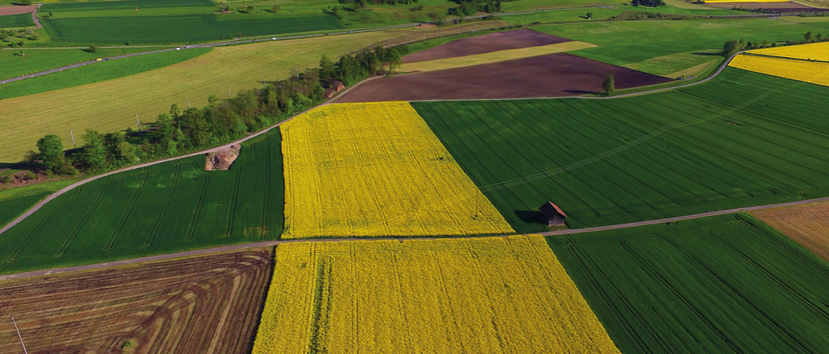 Vue aériene de cultures. © Photo sous licence CC