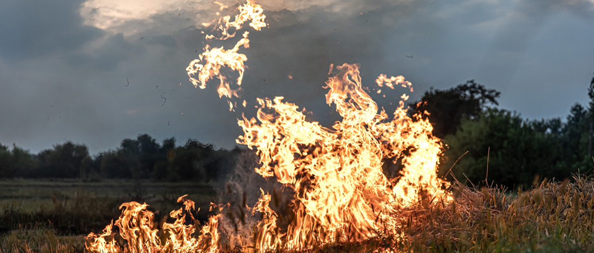 Terrain en feu. © Photo licence CC