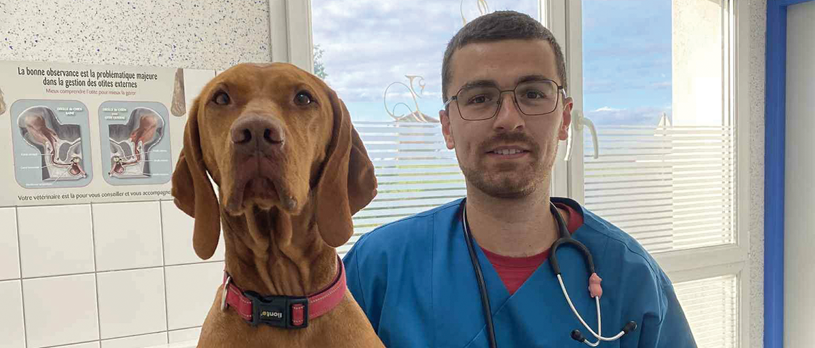 En tant que vétérinaire mixte, le jeune praticien réalise également de la médecine canine ©Kévin Contart