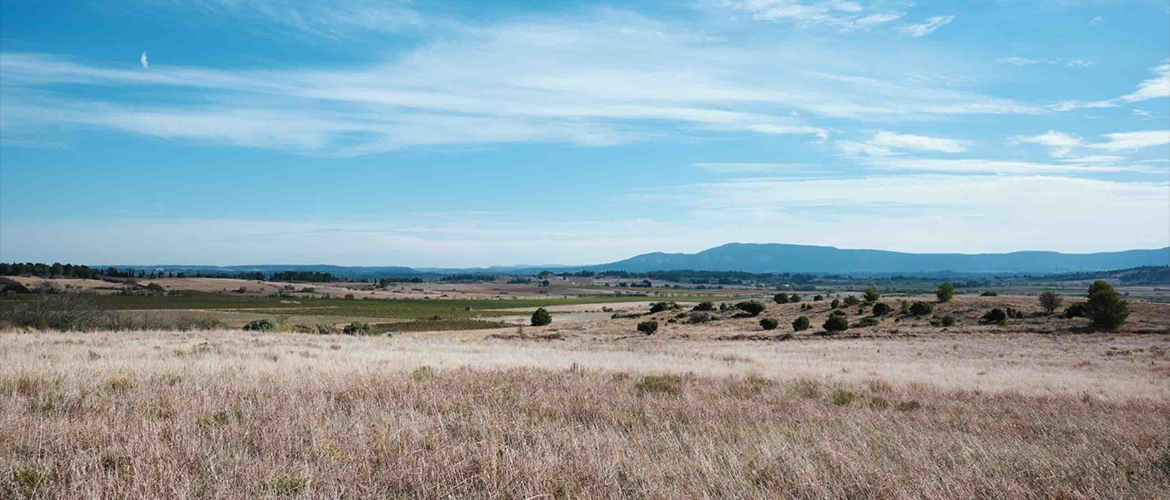 Prairie lors de la sécheresse de cet été. © Photo iStock