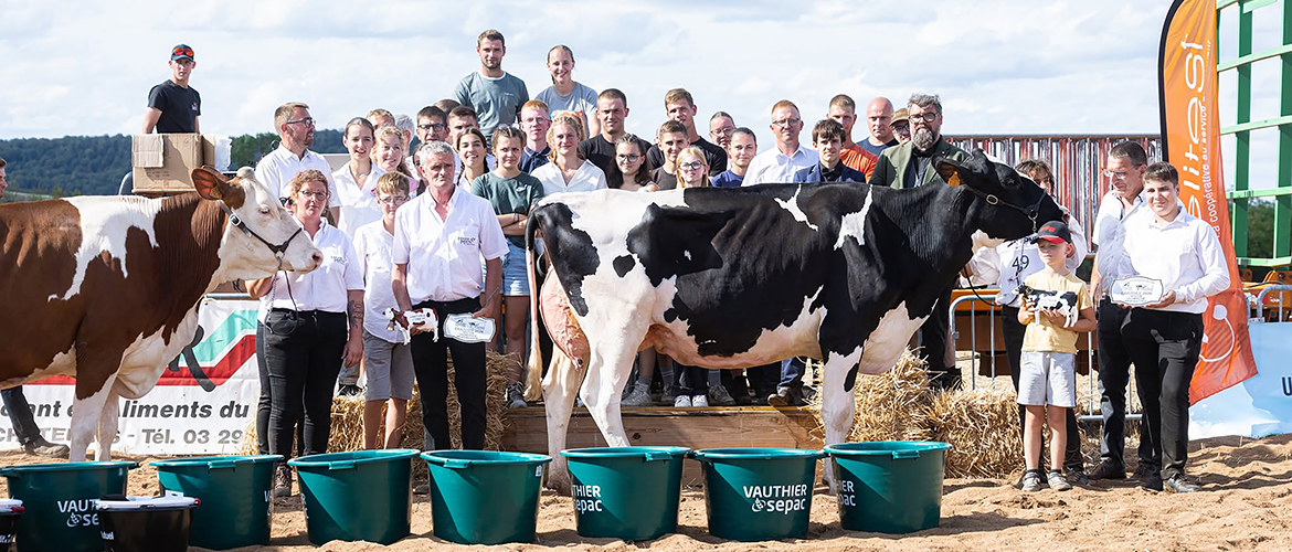 Cette année encore, l’association Top Génétique Vosges a présenté les plus beaux animaux du département à l’occasion d’un concours organisé en partenariat avec la Campagne S’AMuse. © Manon Laurain Photographie