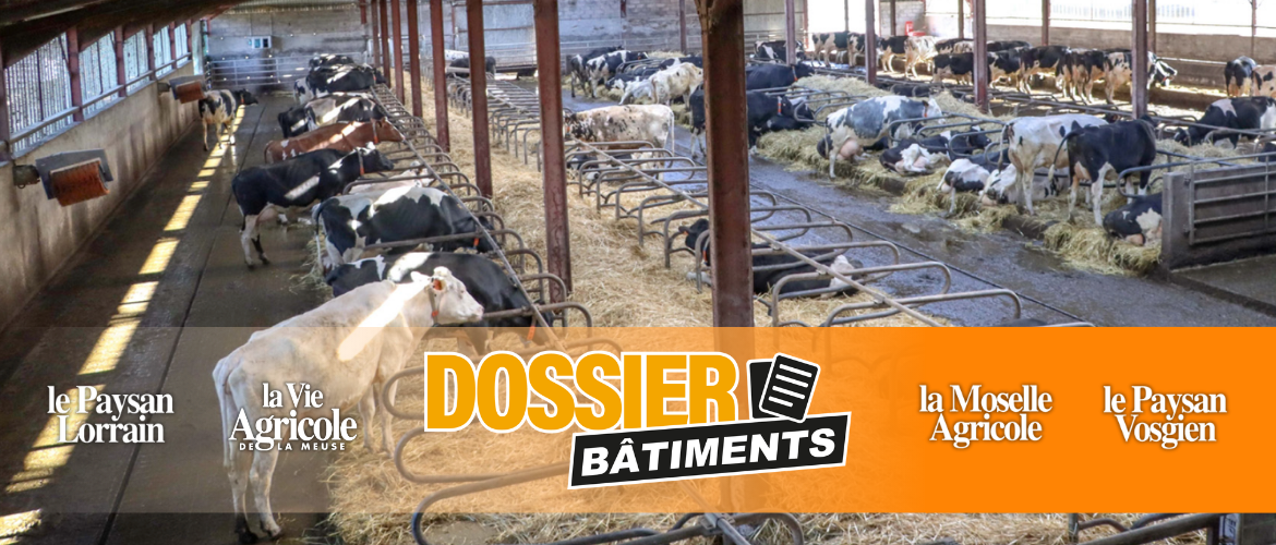 La paille de céréales est le matériau privilégié dans la plupart des fermes. © Photo DR