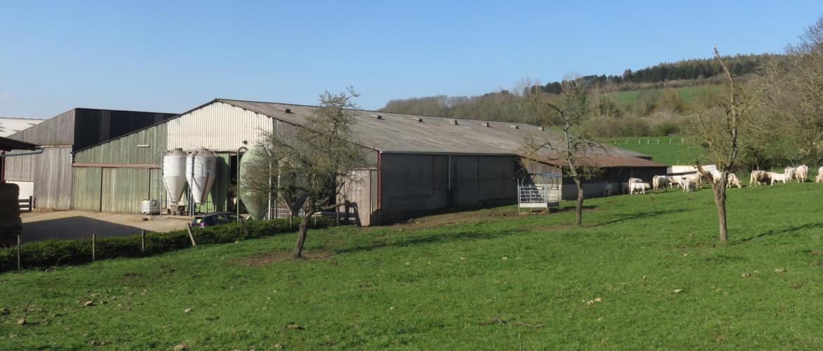 Laurent Wendliger : «nous aboutirons peut-être à moins de grands bâtiments. Nous envisageons l’aménagement de bâtiments existants». Photo : H. F.