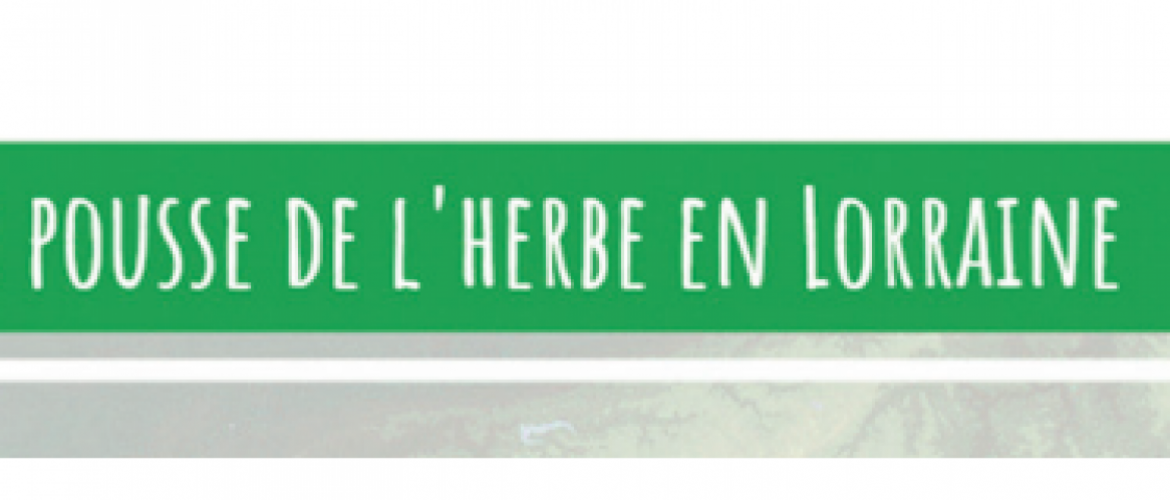 Groupe herbe et fourrages © Photo DR