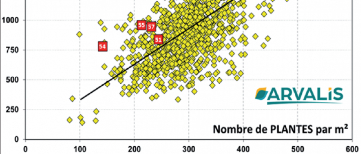 Figure 1- Nombre de tiges à plus de 3 feuilles, et nombre de plantes par m² observés sur cinq sites mesurés par rapport aux années précédentes. © Photo DR