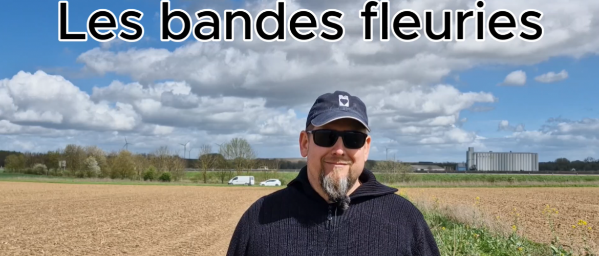 Vidéo « Bandes fleuries », 2024, GIEE les deux Champagnes. 