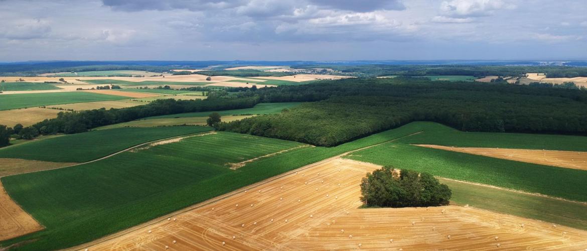 Dégrèvement partiel automatique de TFNB sur les prairies et les terres labourables. 