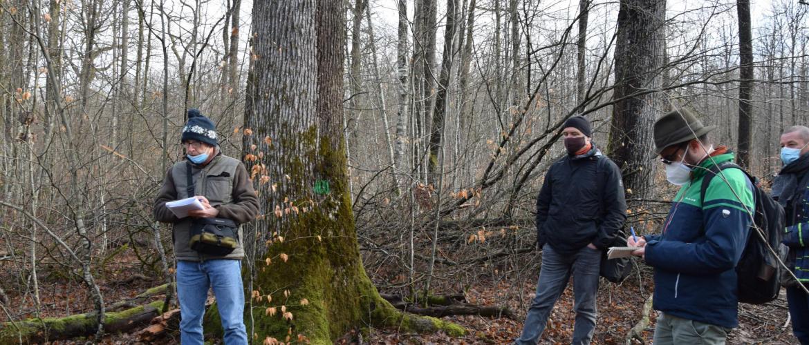 Visite sur le terrain d’une délégation d’experts forestiers Hongrois en forêt domaniale de Darney. 