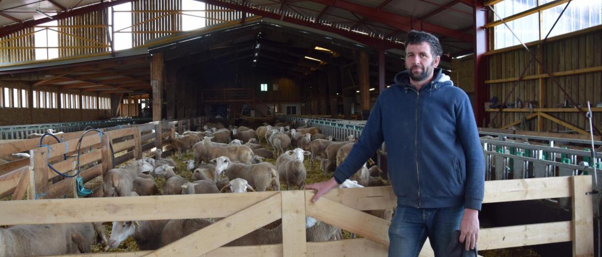 Antoine Marchal est éleveur ovin associé au Gaec Brebis et Compagnie. 