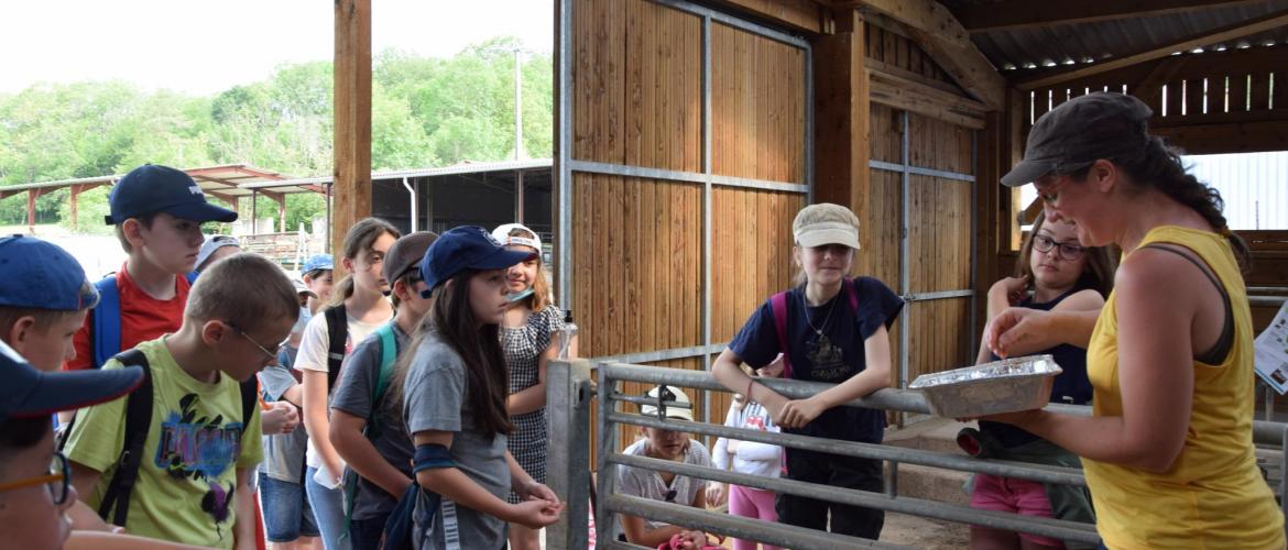 «Qu’est-ce que mange un cochon ?» demande Amandine Durpoix aux élèves de CM2. 