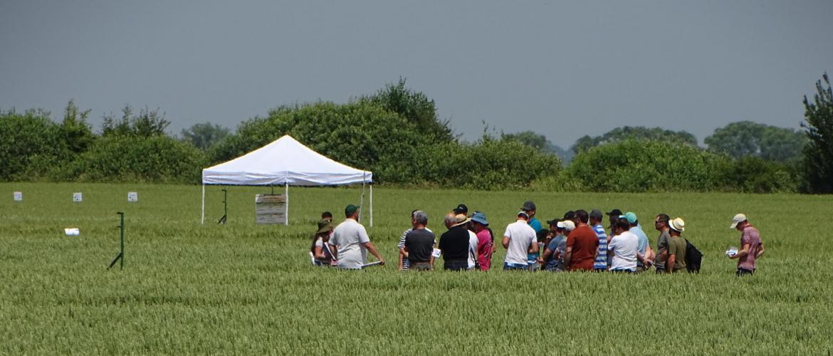 Au travers des neuf ateliers, Arvalis souhaitait présenter les résultats et essais en cours. (Crédit Photo : J.Joris)