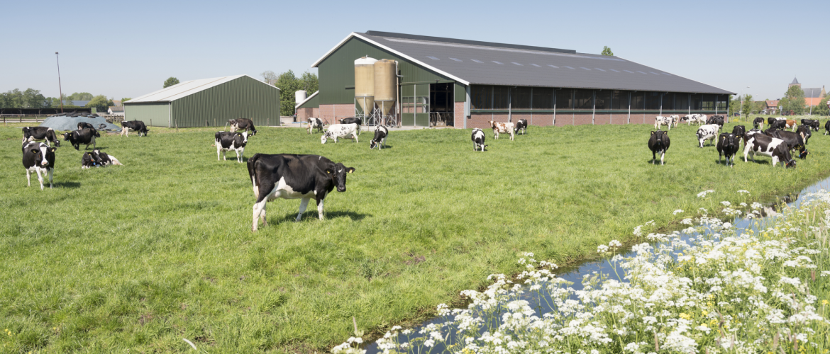 Le recul du nombre d’éleveurs s’est accompagné d’un fort repli du cheptel bovin (lait et allaitant), porcin et ovin. ©Actuagri