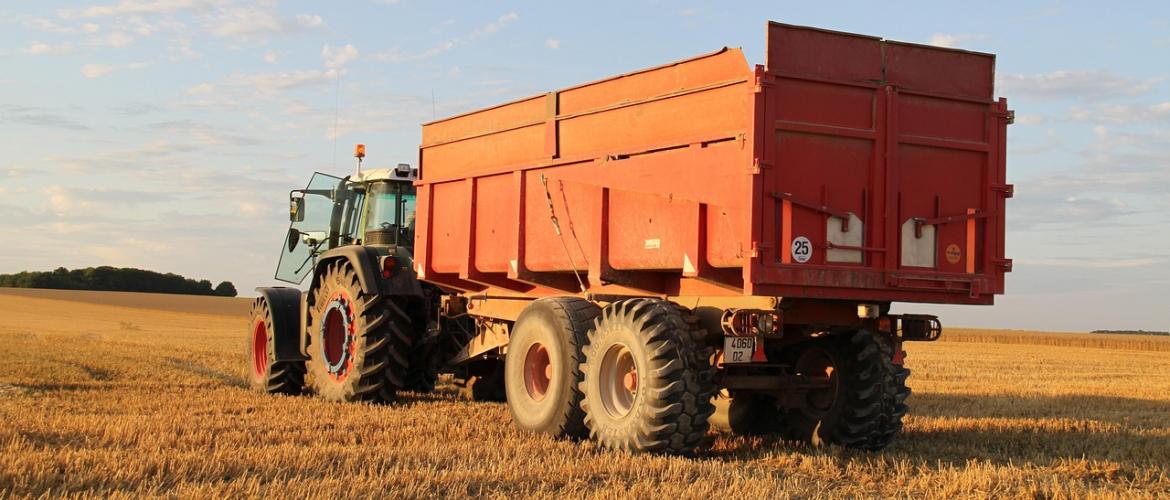 © Photo sous licence CC