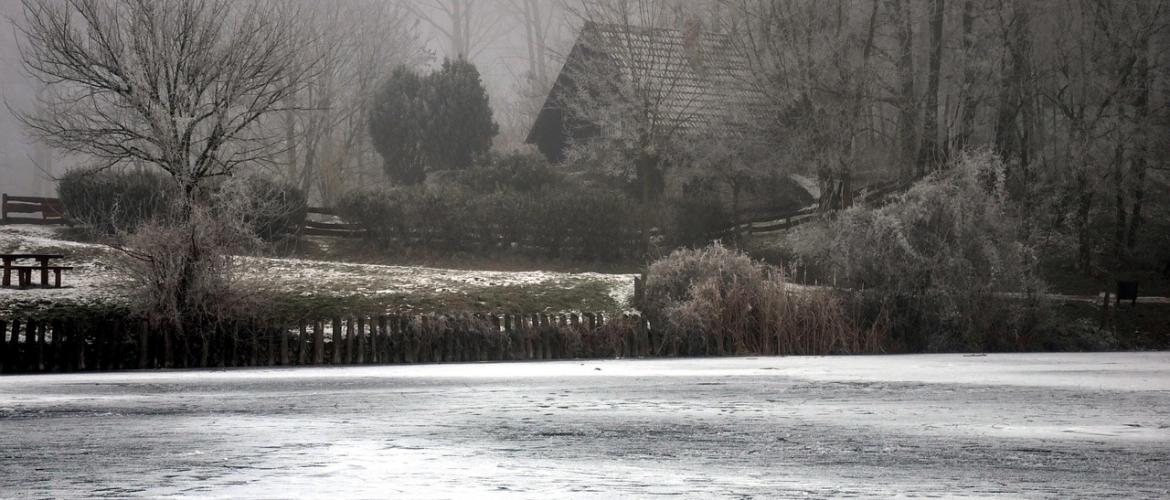 Le givre recouvre la terre tard dans la saison. Photo sous licence Creative Commons