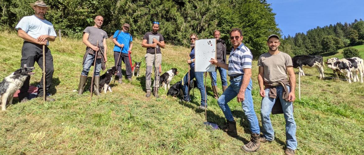 Au-delà des compétences acquises lors de la formation, les participants apprécient son aspect convivial, les moments de partage, et la découverte de différentes fermes. Photo : A.Legendre